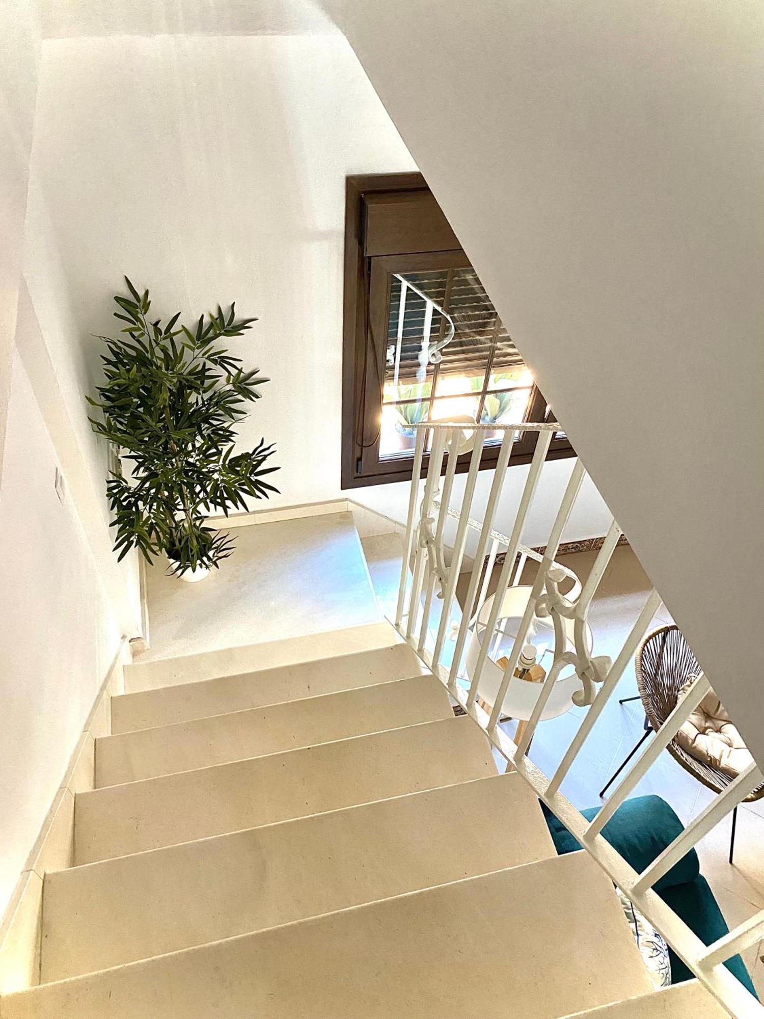 Centro Apartment Mazagon